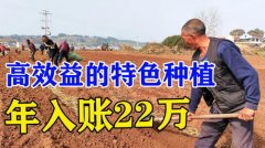 <b>力村落复兴计谋的成功实施</b>